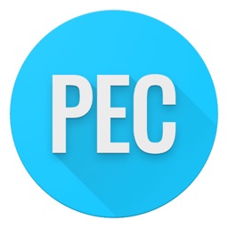 PE Consultant