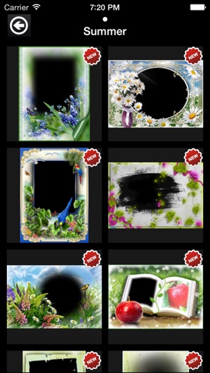 Summer Frames Plus(圖2)-速報App