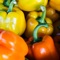 Location and facility information for New York City farmers markets