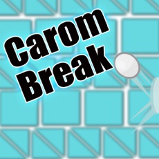 Activities of Carom Break