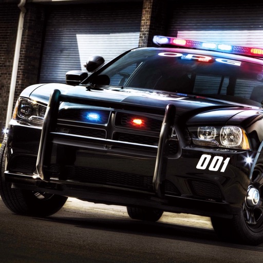 Police Car Parking 3D Simulator icon