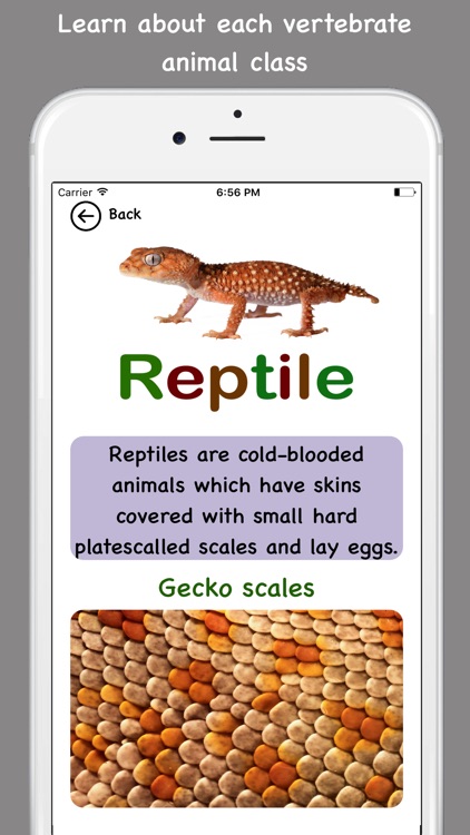 Tip Tap learn, Animal Kinds screenshot-3