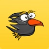 Angry Crow Hunter