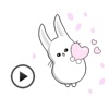 Fast Animated - Funny Cute Rabbit Sticker