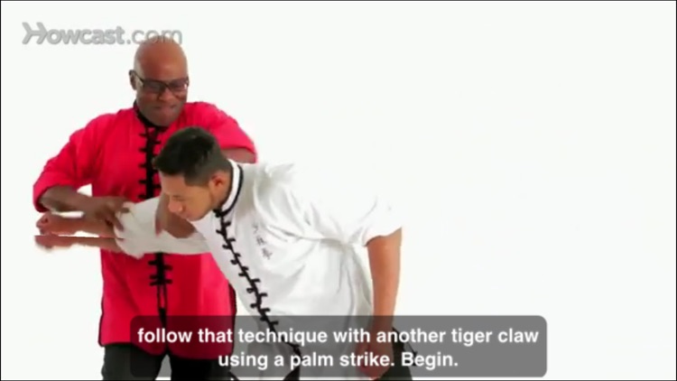 Shaolin Kung Fu Master Class screenshot-3