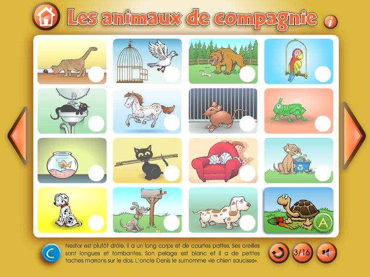 Les animaux de compagnie by 29538121 QUEBEC INC.