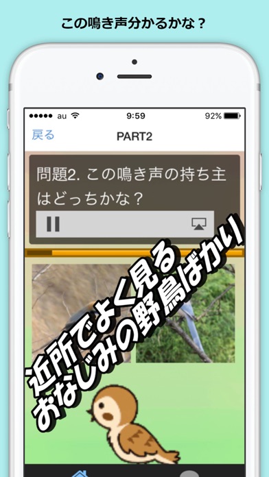 野鳥 鳴き声 クイズ バードウォッチ Iphoneアプリ Applion