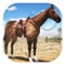 Do you love riding horses then you will love this Horse game