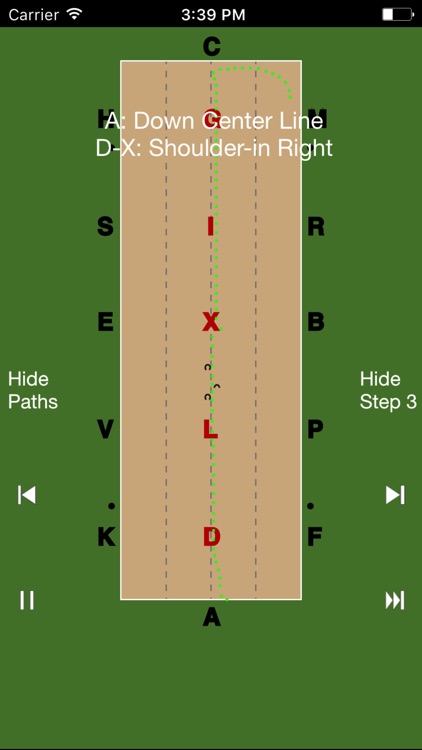 EquiSketch Dressage