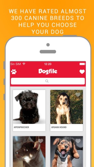 Dog File: Find the perfect dog breed that fits you(圖2)-速報App