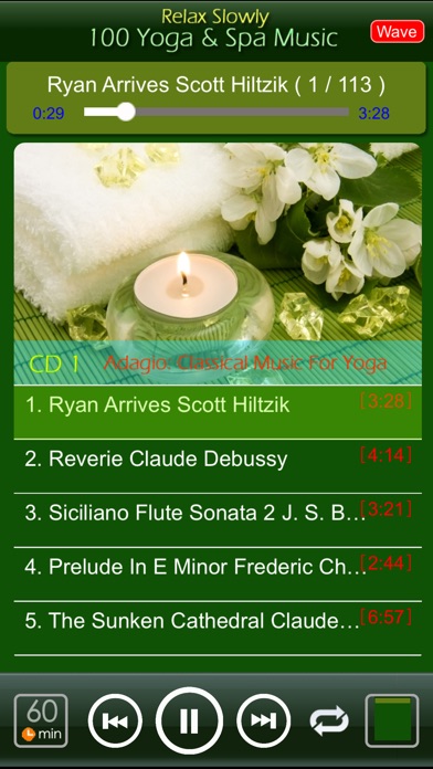 100 YOGA SPA RELAX MUSIC