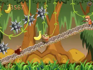 Banana Monkey Jungle Run Game - Gorilla Kong Lite, game for IOS