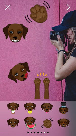 Dark Chocolate Labrador Photo Booth(圖1)-速報App