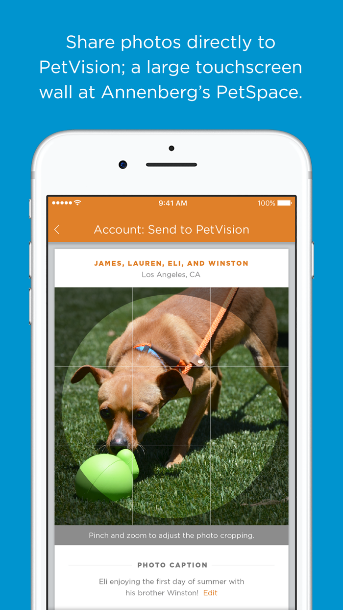 Wallis Annenberg PetSpace App