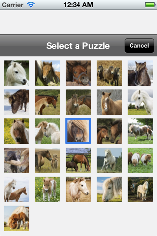 Pony Puzzles screenshot 3