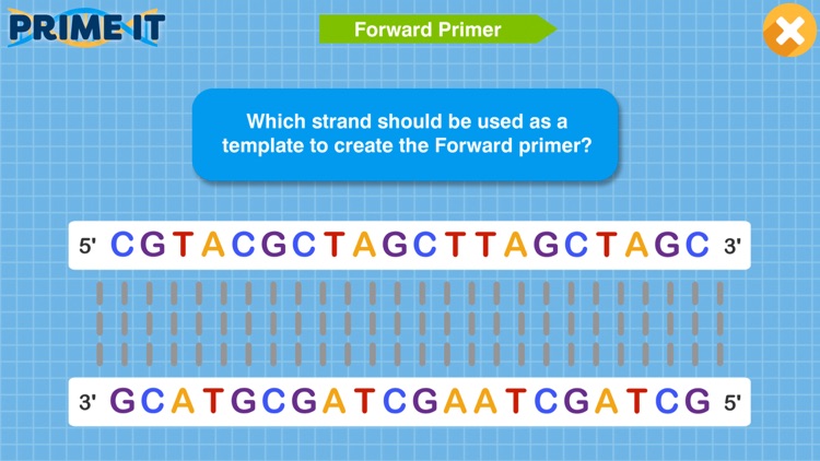 Prime It DNA Game