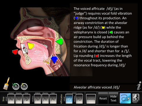 Affricates Stops screenshot 2