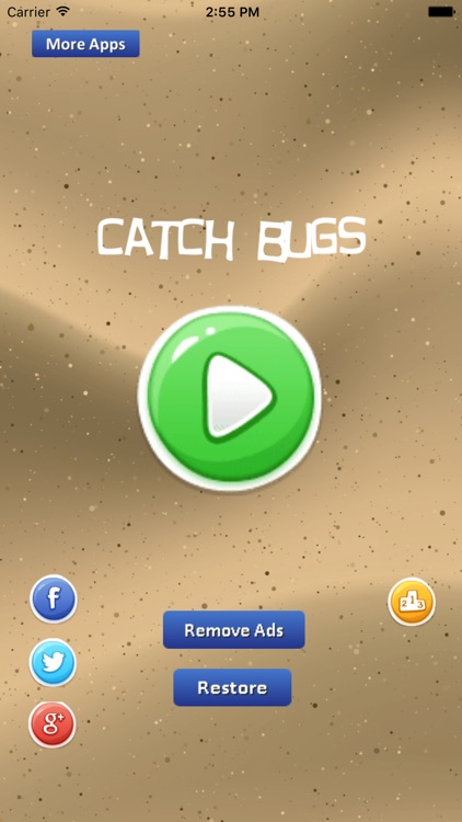 Catch Bugs Game