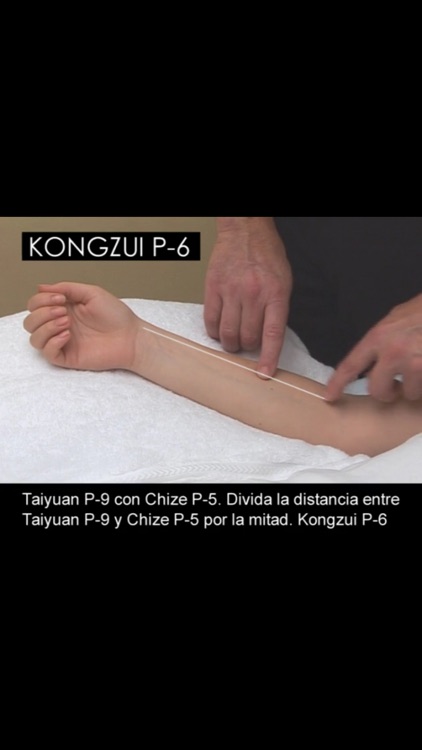 Un Manual de Acupuntura (A Manual of Acupuncture) screenshot-2