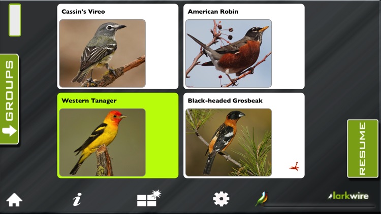 Larkwire Bird Songs - Land Birds of North America