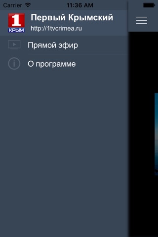 Первый крымский телеканал screenshot 2
