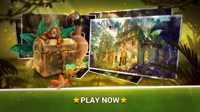 How to cancel & delete Hidden Objects Jungle Mystery – Find Object Games from iphone & ipad 4