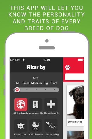 Dog File: Find the perfect dog breed that fits you screenshot 3