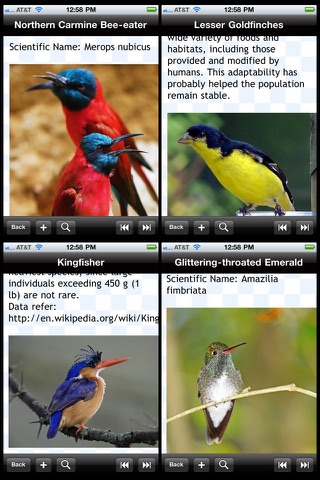 Birds Encyclopedia screenshot 2