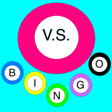 Activities of V.S. BINGO