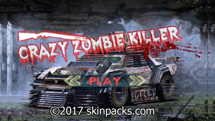 Crazy Zombies Killers