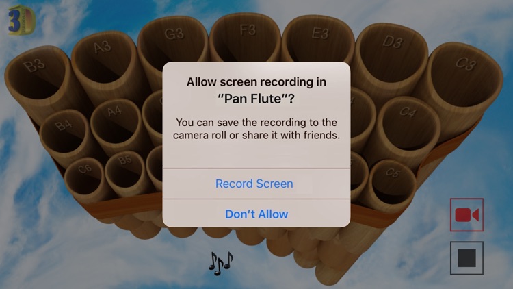 Pan Flute !