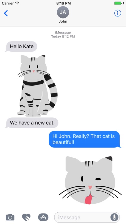 Fluffy Kitty