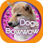 Dogs Quiz Bowwow Touch  Simple Game with 109 Dogs