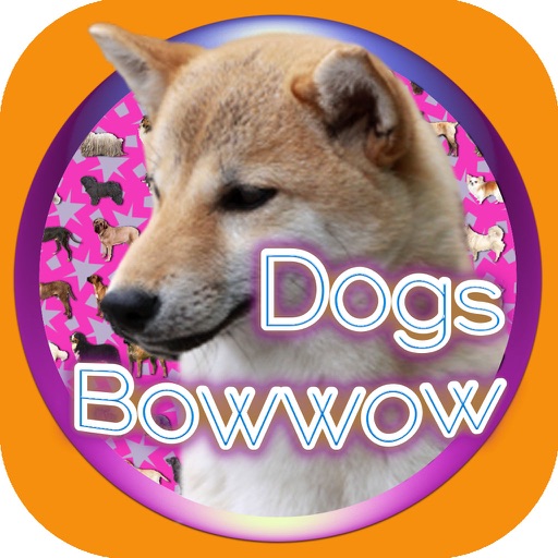 Dogs Quiz Bowwow Touch : Simple Game with 109 Dogs