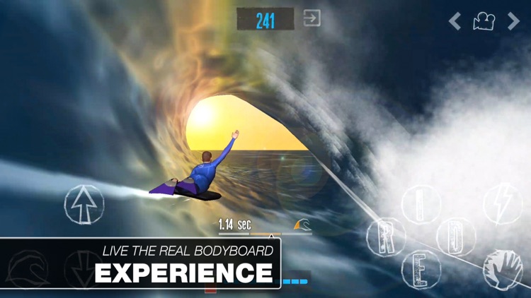 The Journey - Bodyboard Game screenshot-0