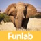 Nature Sounds of Africa, an app specifically designed for kids ages 5 and under teaches children navigational skills and introduces them to animals who inhabit the African landscape