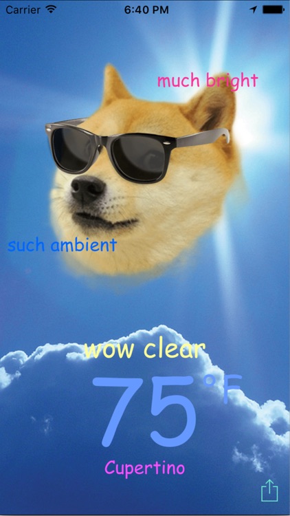 Doge Weather