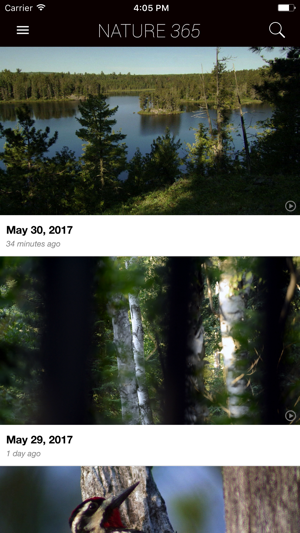 Nature 365(圖1)-速報App