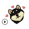Black Shiba Inu Dog Emoji Animated Stickers