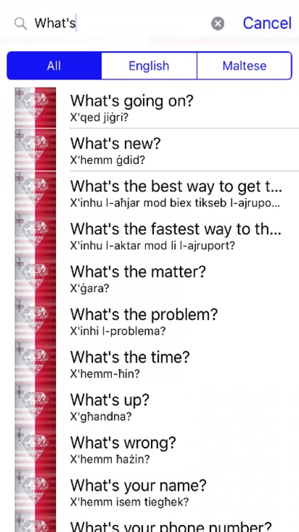 Maltese Phrases Diamond 4K Edition