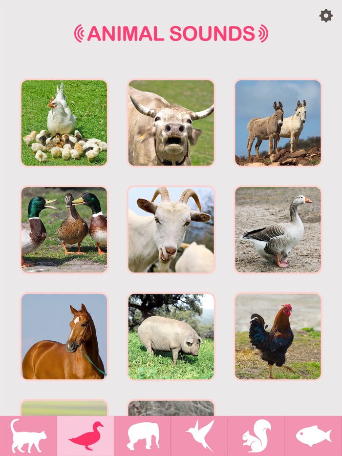 Animal Sounds - Baby  Toddler Game