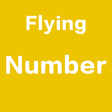 Activities of Flying Number