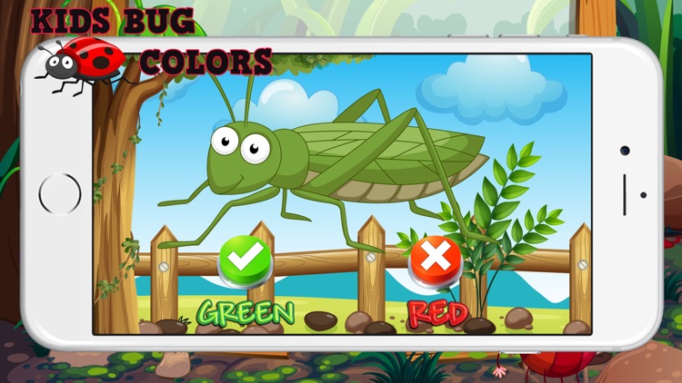 The Bug Animals Color Quiz