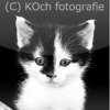 KOch fotografie