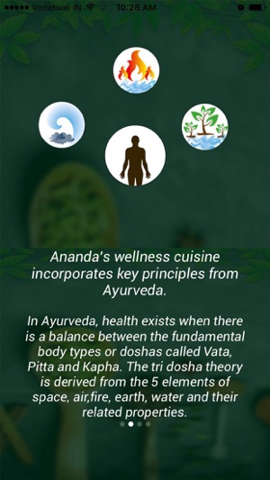 Ananda Healthy Cuisine