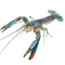 app  will help you konw about crayfish