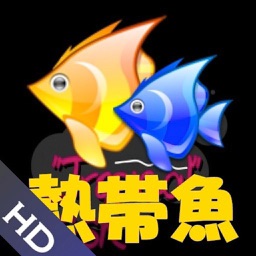熱帯魚HD