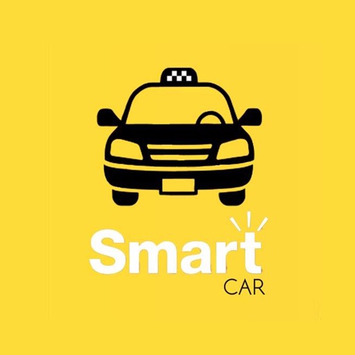 Smart Car User