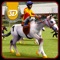 Wild Horse Racing 3D Simulator- Virtual Derby Race
