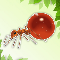 Activities of Ant Coloring Page Drawings Book for kids